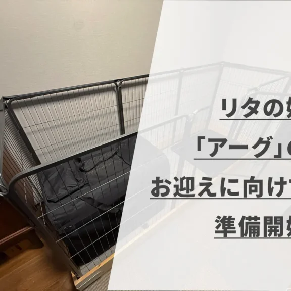 リタの妹「アーグ」のお迎えに向けて準備開始